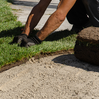 Hands of worker in gardening gloves laying sod. Applying green turf rolls, making new lawn in park